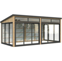 Abri de jardin avec portes coulissantes et lucarnes