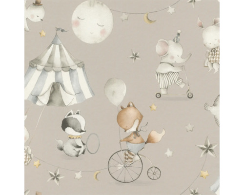 Illustration avec des motifs de cirque et des animaux tels qu'un éléphant, un renard et un raton laveur