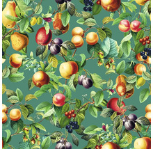 Motif continu avec divers fruits et feuilles sur des branches
