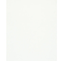 Fond blanc.