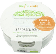 Mon bol à germes de récolte avec portion de démarrage de graines germées biologiques