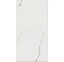 Carreau aspect marbre