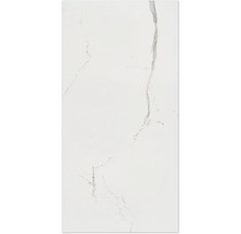 Carreau blanc aspect marbre