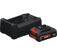 Bosch Logo Ladegerät mit 18 Volt Akku