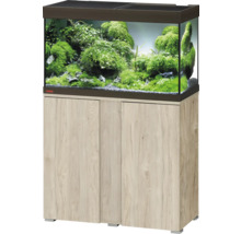 Aquariumkombination mit Unterschrank und Pflanzen