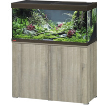 Aquarium mit Unterschrank und Bepflanzung