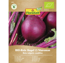Bio Rote Bete Sorte Kugel 2 Sturoman Samenpackung