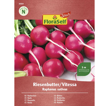 FloraSelf Graines de radis Riesenbutter/Vitessa
