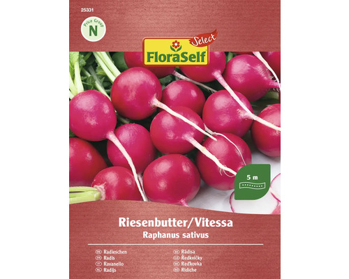 FloraSelf Graines de radis Riesenbutter/Vitessa