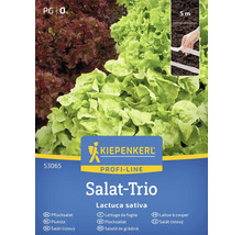 Kiepenkerl Trio de salades sachet de graines