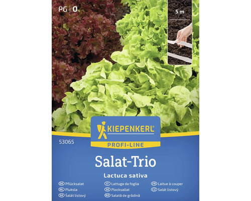 Kiepenkerl Trio de salades sachet de graines