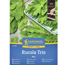 Kiepenkerl Trio de roquette Sachet de graines
