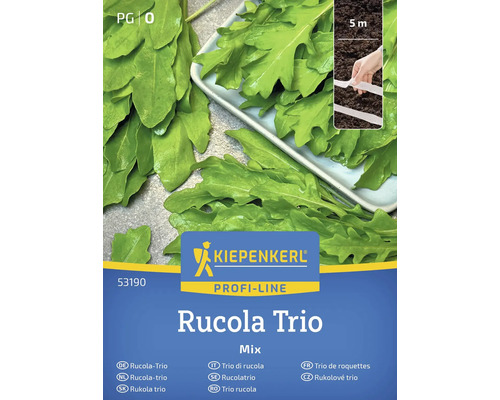 Kiepenkerl Trio de roquette Sachet de graines