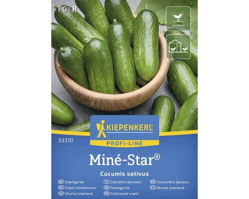 Kiepenkerl Miné-Star Snackgurke Samenpackung