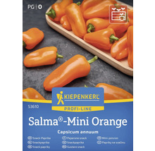Kiepenkerl Salma Mini Orange Snack-Paprika Samen