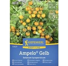 Sachet de graines de tomates cerises jaunes Kiepenkerl Ampelo Gelb