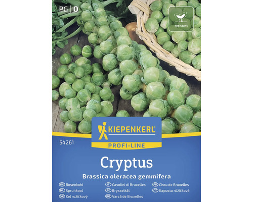 Kiepenkerl Rosenkohl Cryptus Saatgut