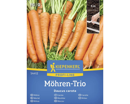 Karotte Short `N`Sweet, Salto, Jubila® Kiepenkerl Gemüsesamen Karottensamen der Marke Kiepenkerl