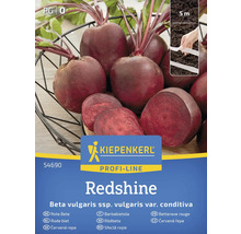Rote Bete der Sorte Redshine Samenpackung
