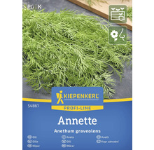 Graines d'aneth de la variété Annette