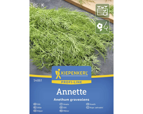 Graines d'aneth de la variété Annette