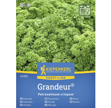 Kiepenkerl Grandeur Paquet de graines de persil