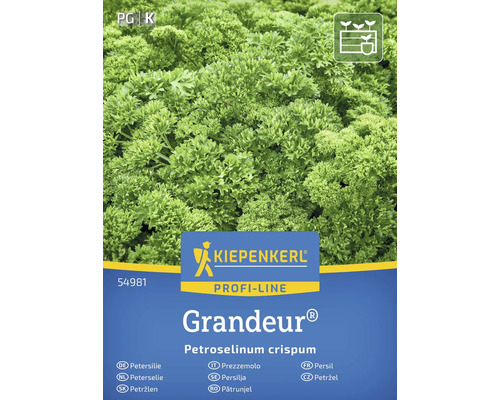 Kiepenkerl Grandeur Paquet de graines de persil