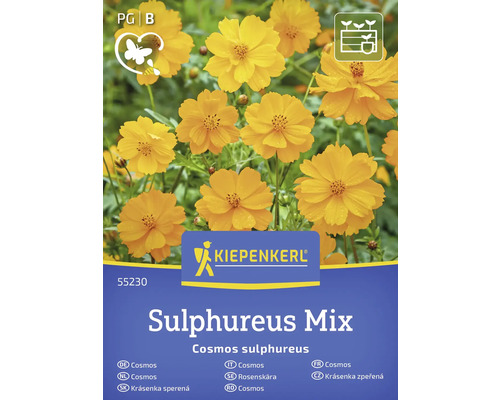 Kiepenkerl Cosmos soufré Sulphureus Mix sachet de graines