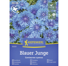 Paquet de graines de bleuet Blauer Junge