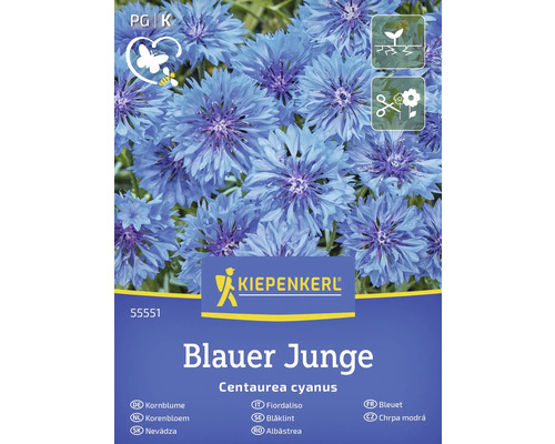 Paquet de graines de bleuet Blauer Junge