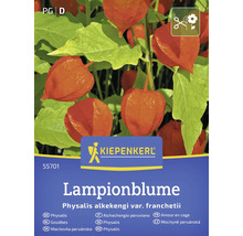 Kiepenkerl Lampionblume Packung