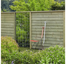 Vue de jardin avec clôture en bois, treillis, outils de jardin et tabouret de jardin