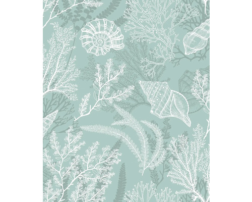 Motifs de coquillages et de coraux à des fins décoratives