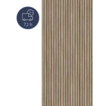 Akustikpaneel mit Holzoptik und 72 Stunden Lieferzeit Symbol