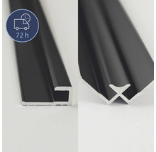 Zwei schwarze Aluminiumprofile mit unterschiedlichen Querschnitten.