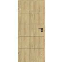 Holztür mit horizontalen Linien und Türgriff