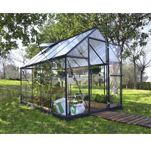 Gewächshaus mit Pflanzen auf einer Rasenfläche