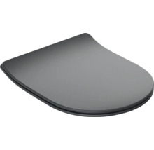 Couvercle de toilette en plastique