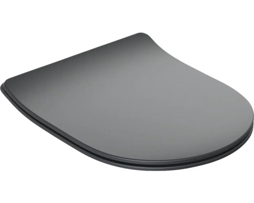 Couvercle de toilette en plastique