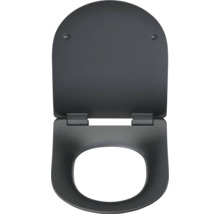 Abattant de WC avec couvercle