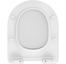 Toilettendeckel aus Kunststoff