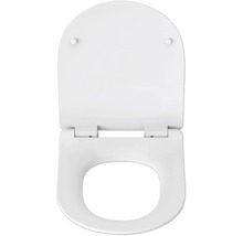 Toilettendeckel aus Kunststoff