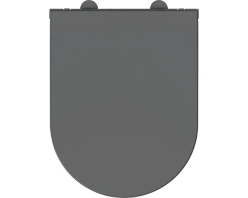 Grauer WC-Sitz von oben