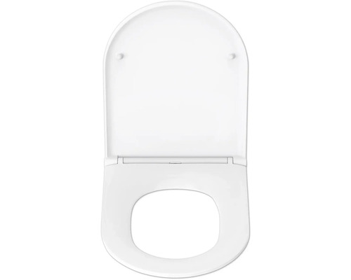 Toilettendeckel aus Kunststoff