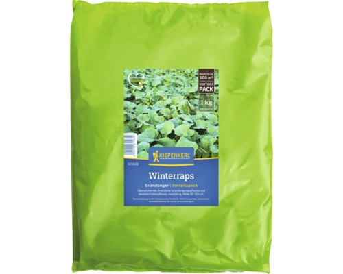 Gründünger Kiepenkerl Winterraps 1 kg für 500 m² Kiepenkerl Winterraps Gründünger Vorteilspack, 1 kg Packung