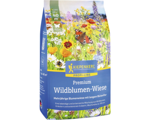 Kiepenkerl Premium Wildblumen-Wiese für mehrjährige Blumen mit langem Blütenflor