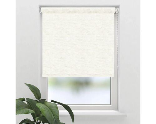 Fenster mit aufgerolltem Rollo