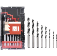 Holzbohrer-Set in transparenter Aufbewahrungsbox