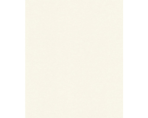 Arrière-plan clair et uni.