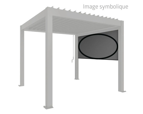 Store Biohort électrique 4 m 364 x 10 x 235 cm gris foncé Pergola autoportante avec partie latérale abaissée